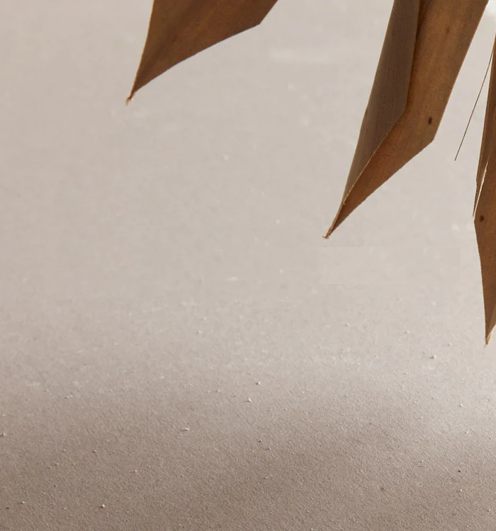 <h1>Les pierres, alliées de votre bien-être</h1>