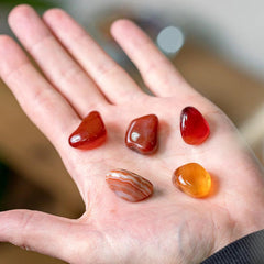 Collection image for: Cornaline